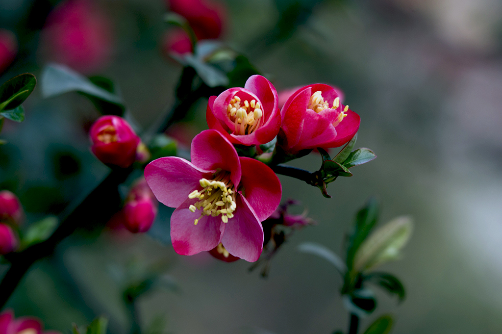 IMGP4775副本.jpg