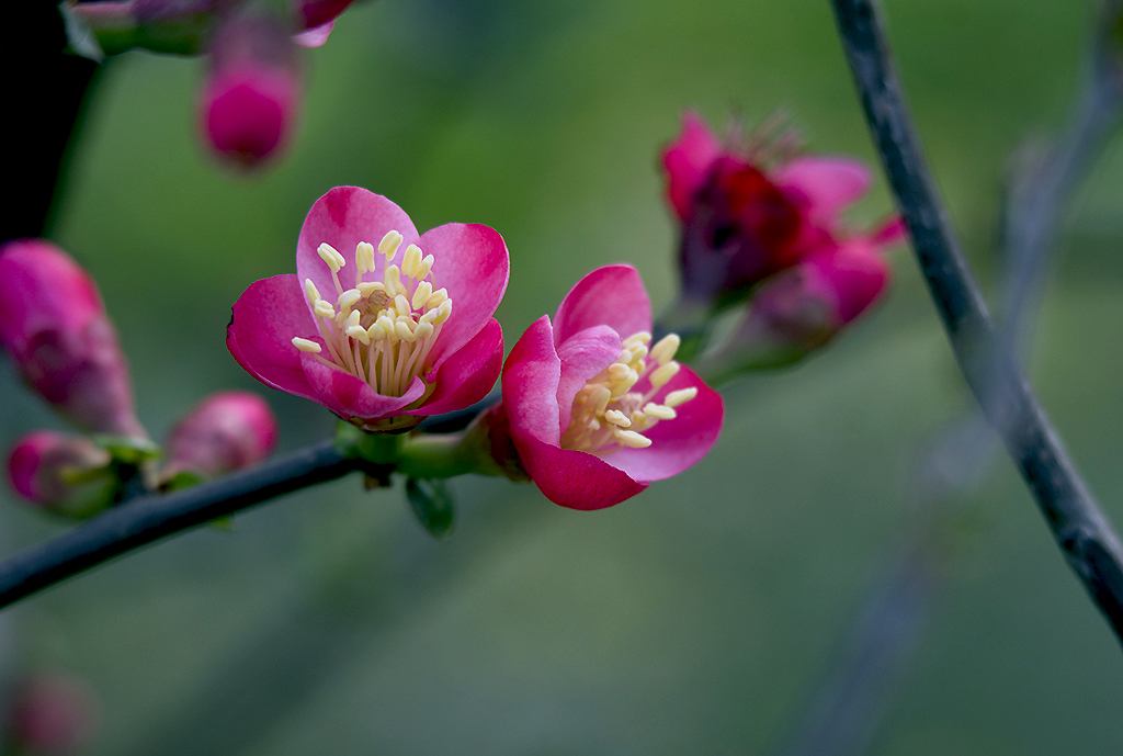 IMGP4773副本.jpg