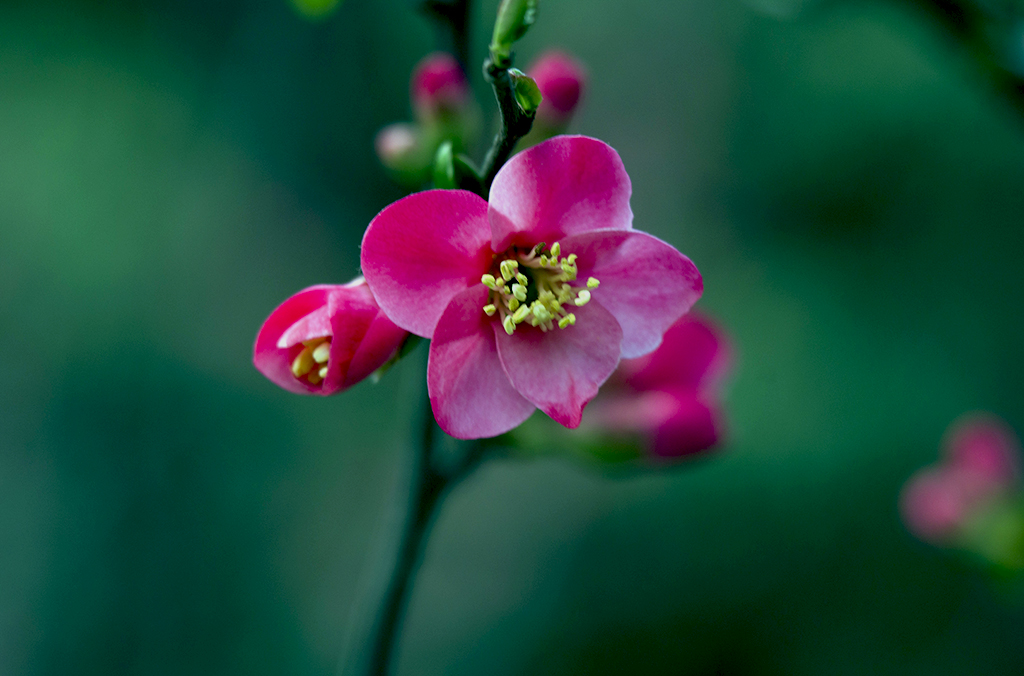 IMGP4776副本.jpg