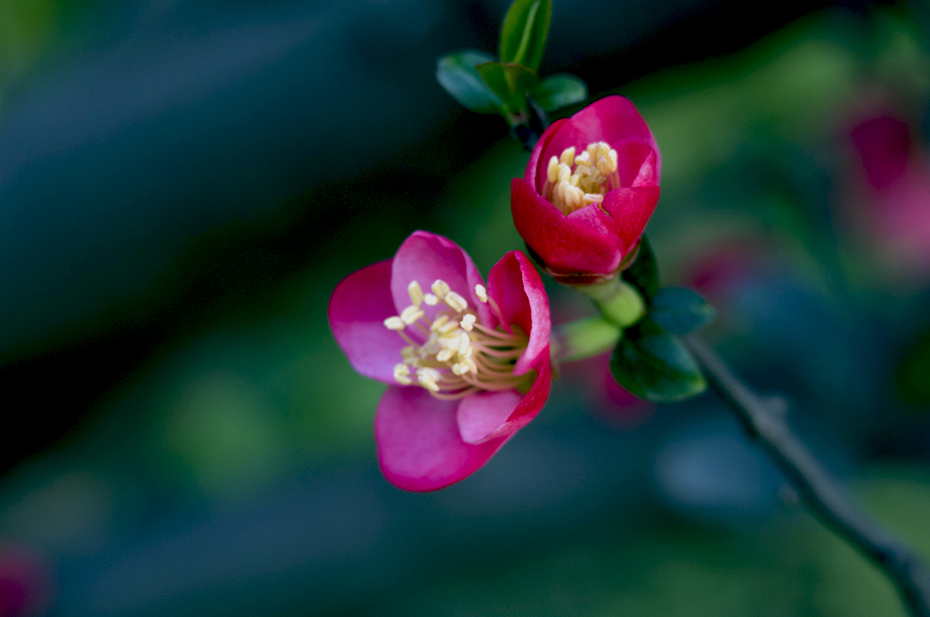 IMGP4777副本.jpg