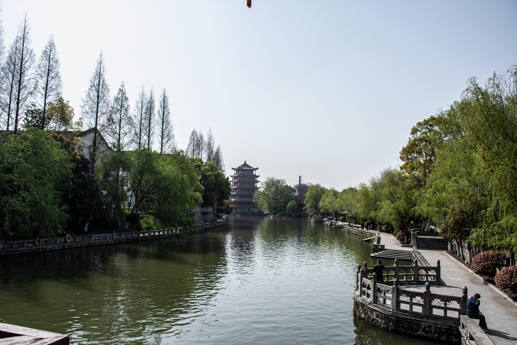 DSC_4006_副本.jpg