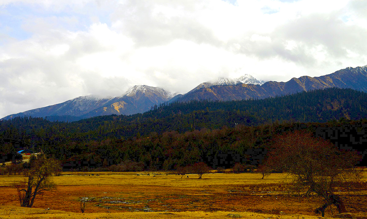 _DSC0824.JPG
