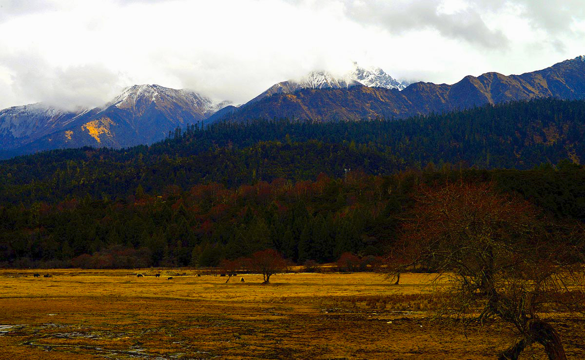 _DSC0827.JPG