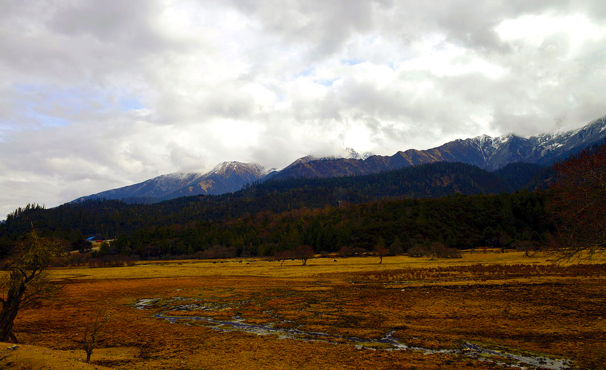_DSC0836.JPG