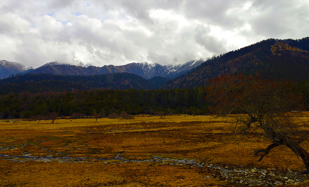 _DSC0840.JPG