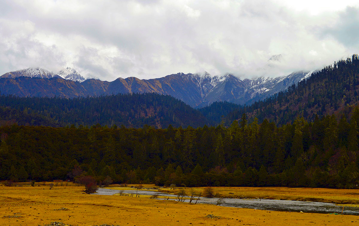 _DSC0846.JPG
