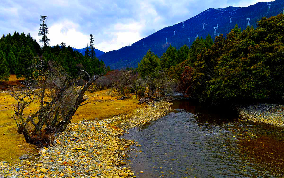 _DSC0856.JPG
