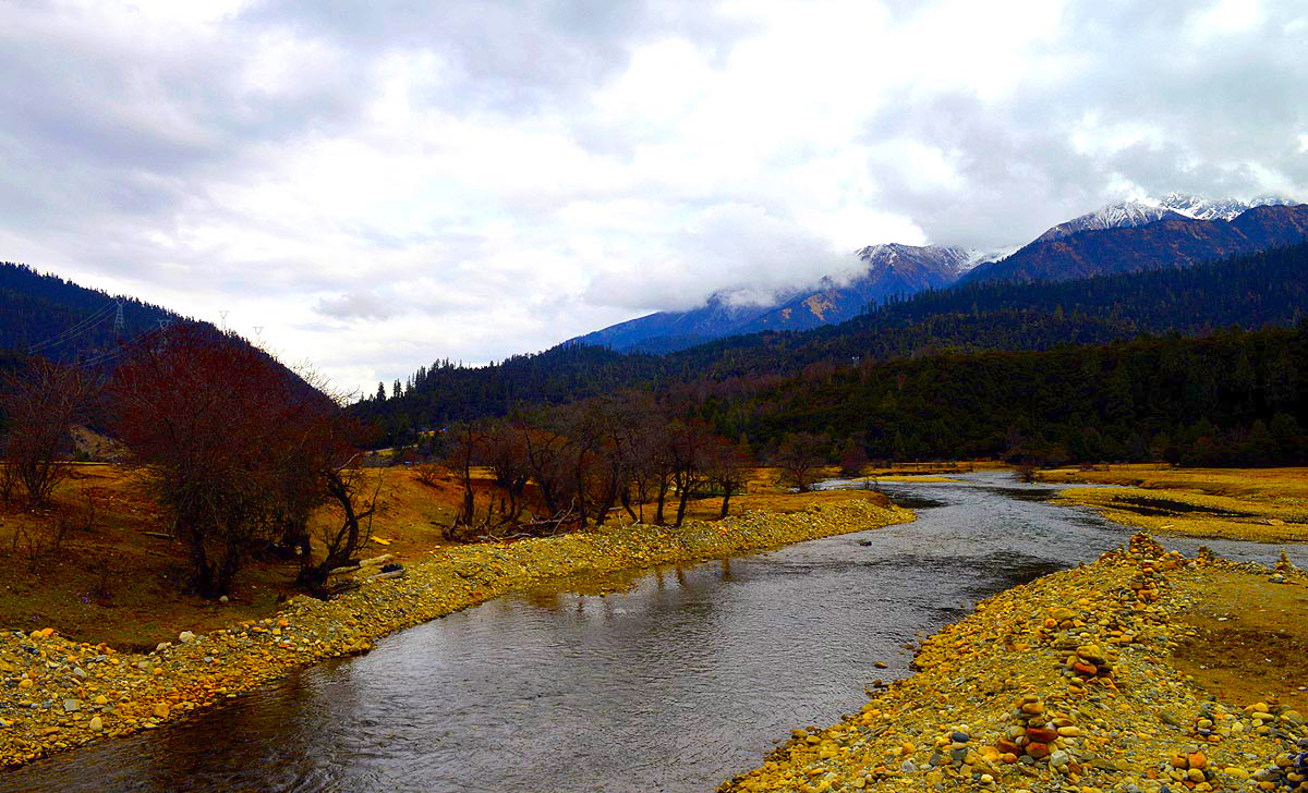 _DSC0858.JPG