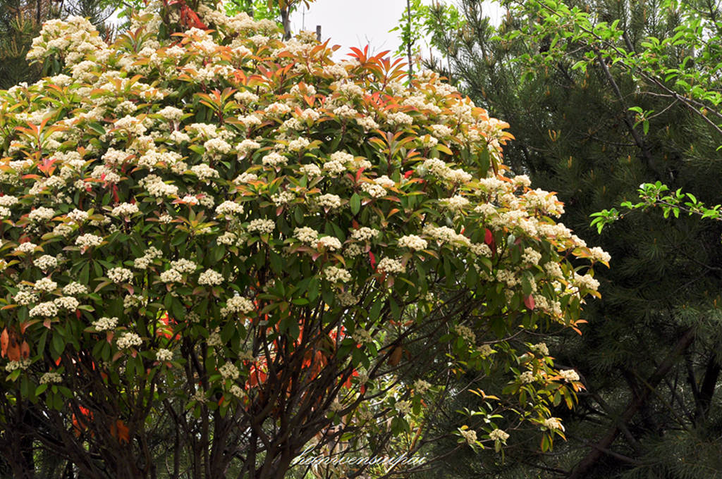DSC_0032.JPG