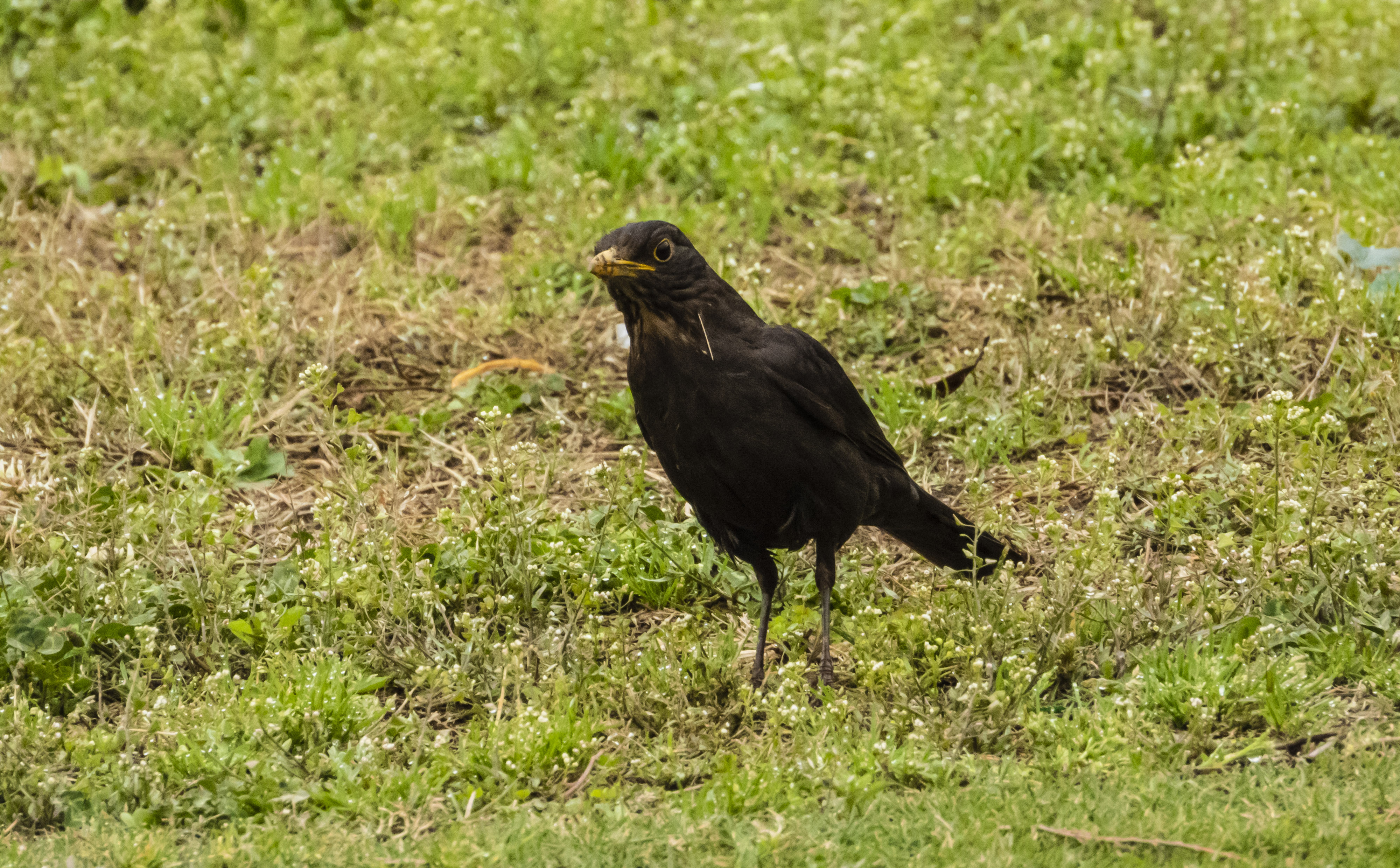 DSCN2863.jpg