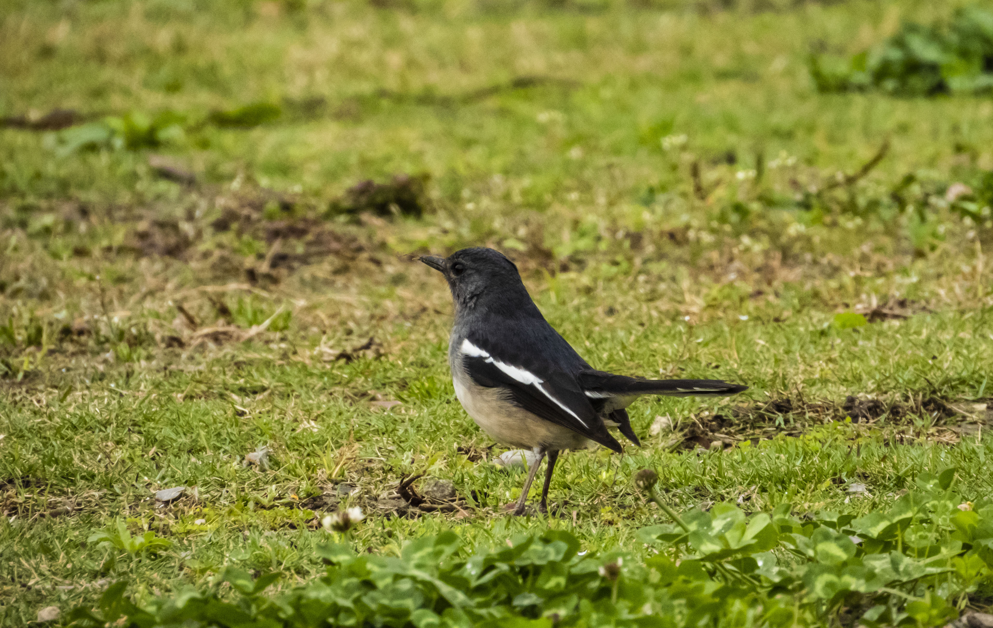 DSCN2852.jpg