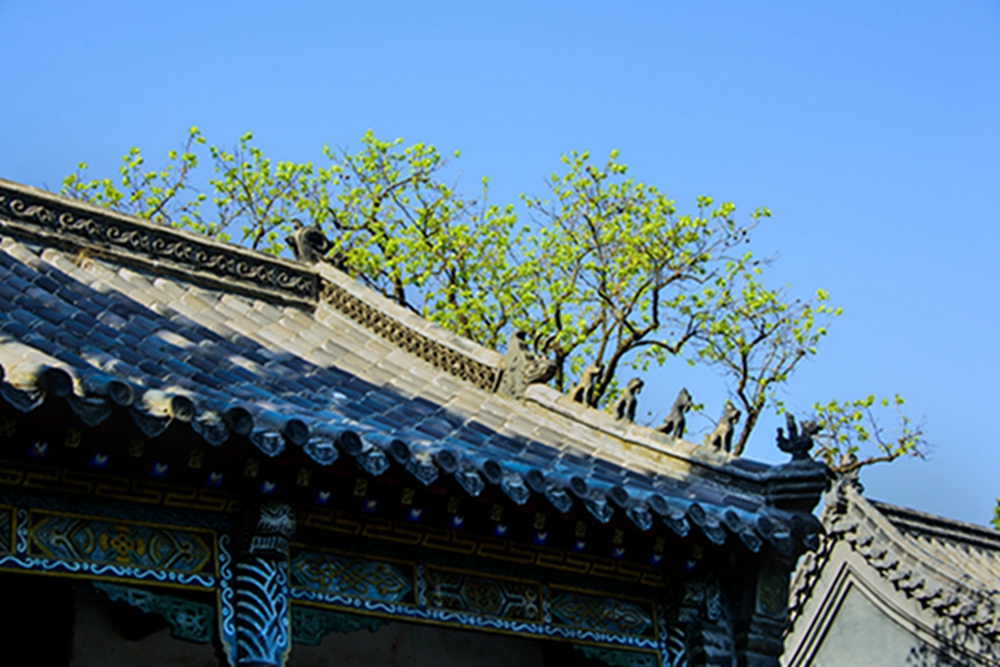_DSC2957拷贝0505.jpg