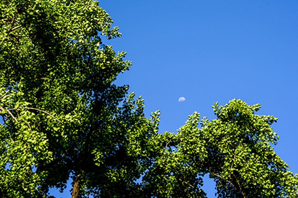 _DSC3006拷贝0606.jpg