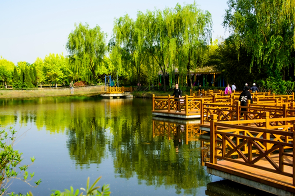 _DSC3157拷贝09.jpg