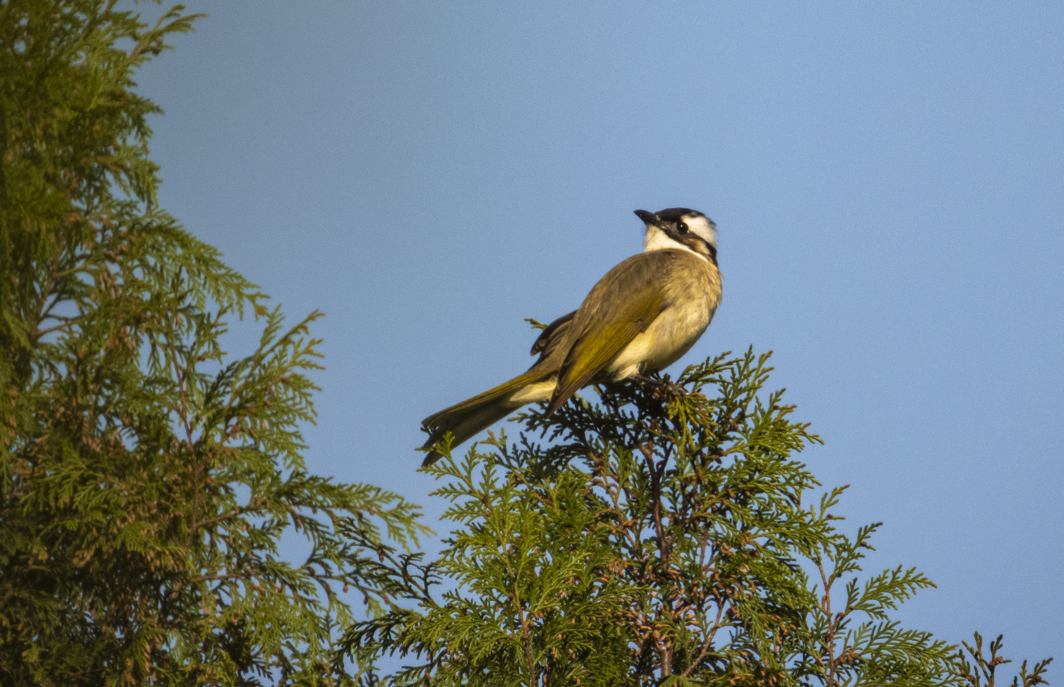 DSCN3344.jpg