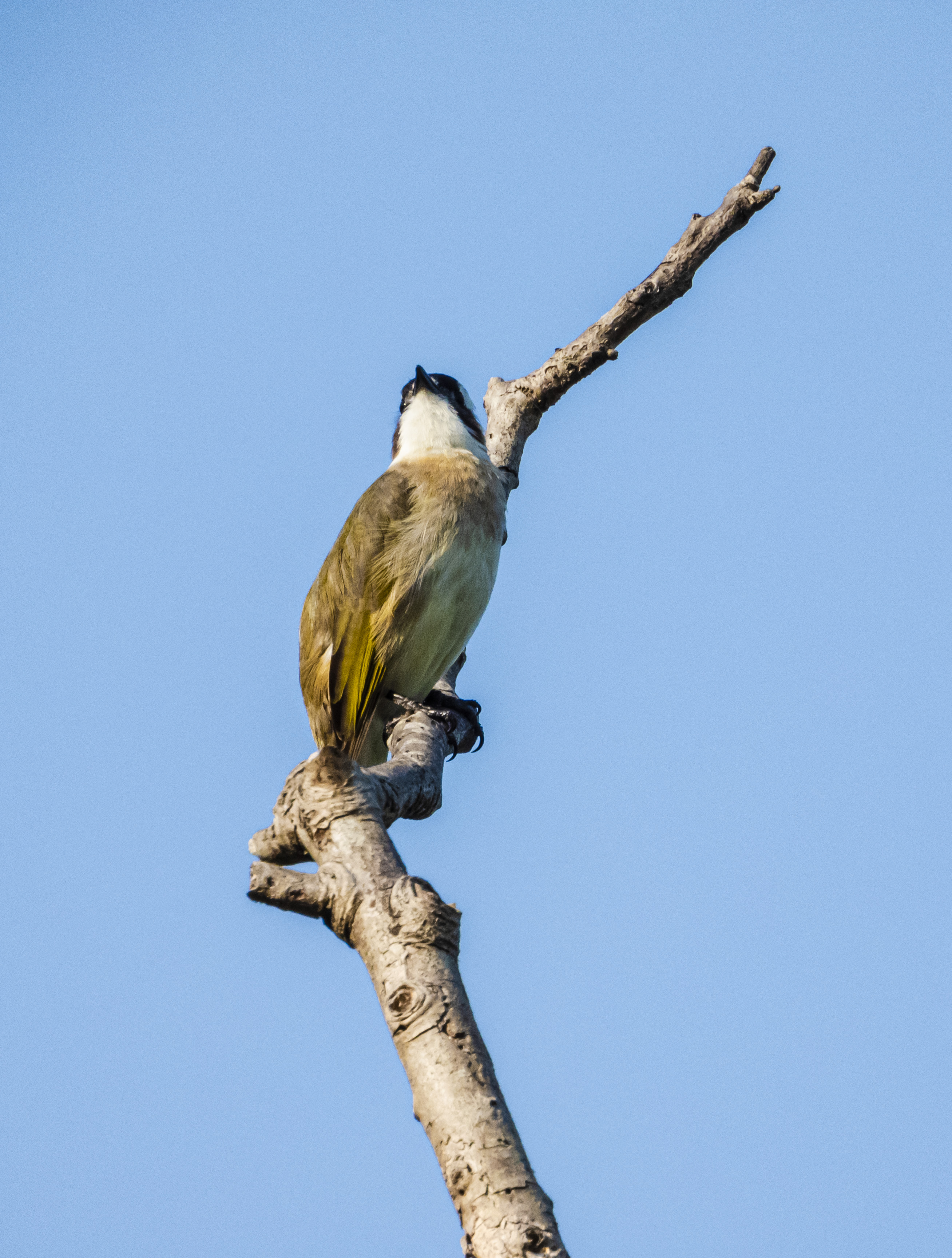 DSCN3577.jpg