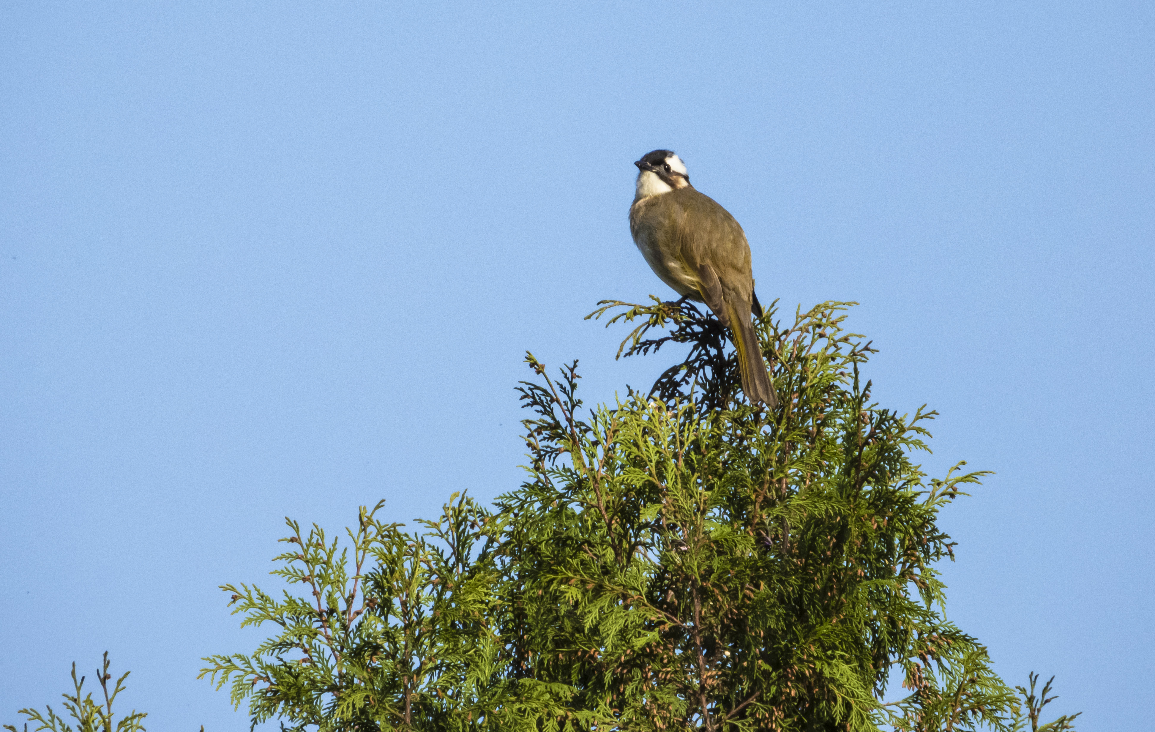 DSCN3357.jpg