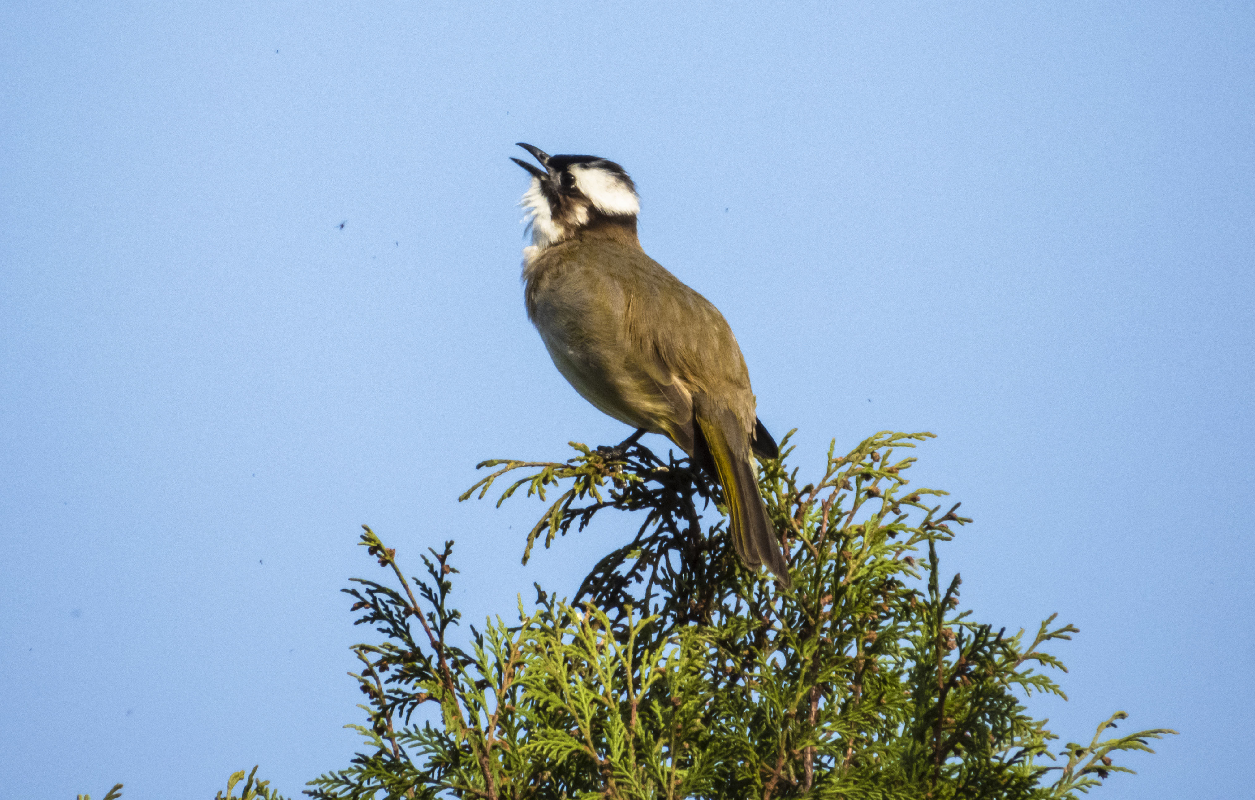 DSCN3362.jpg