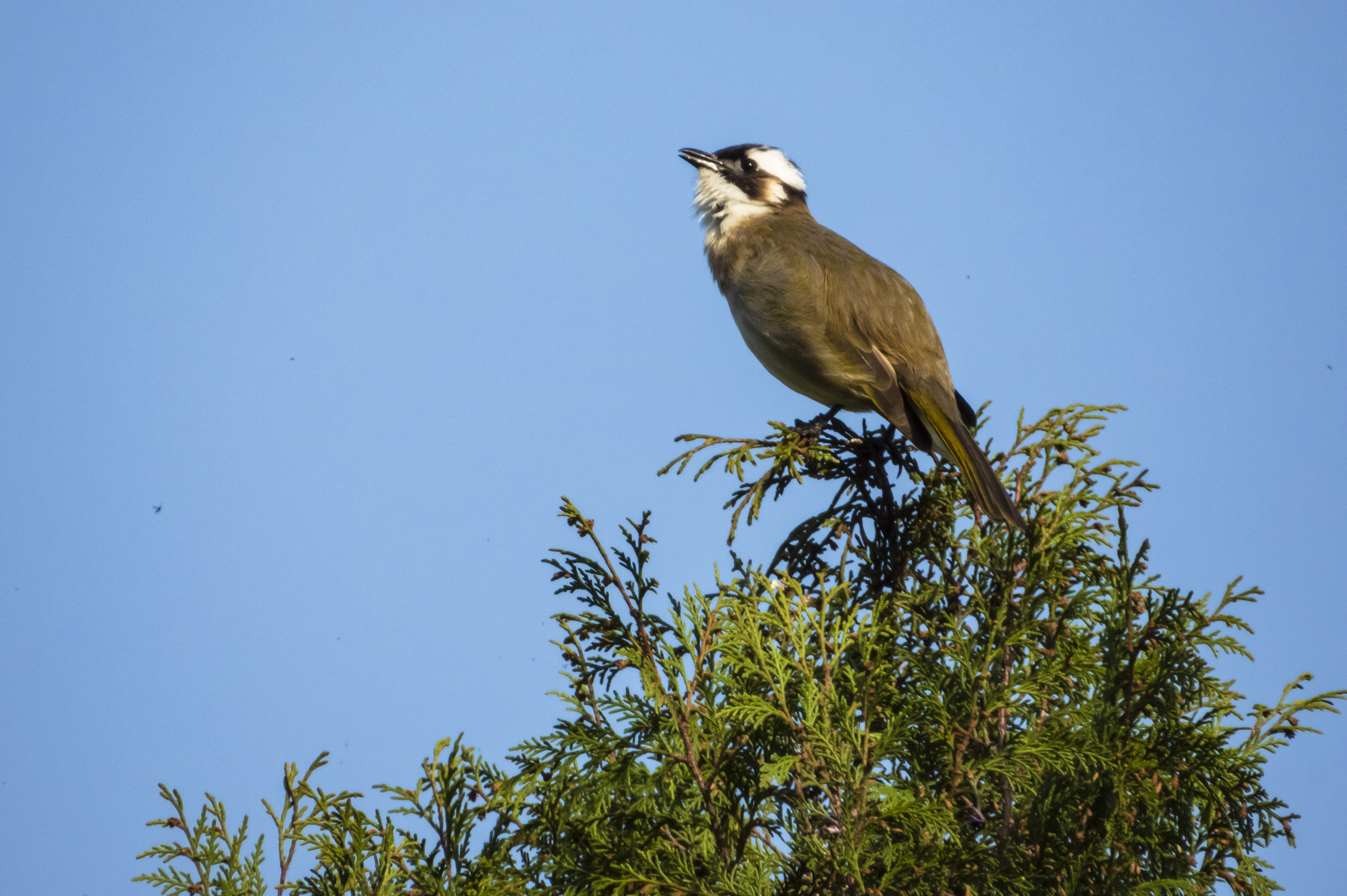 DSCN3364.jpg