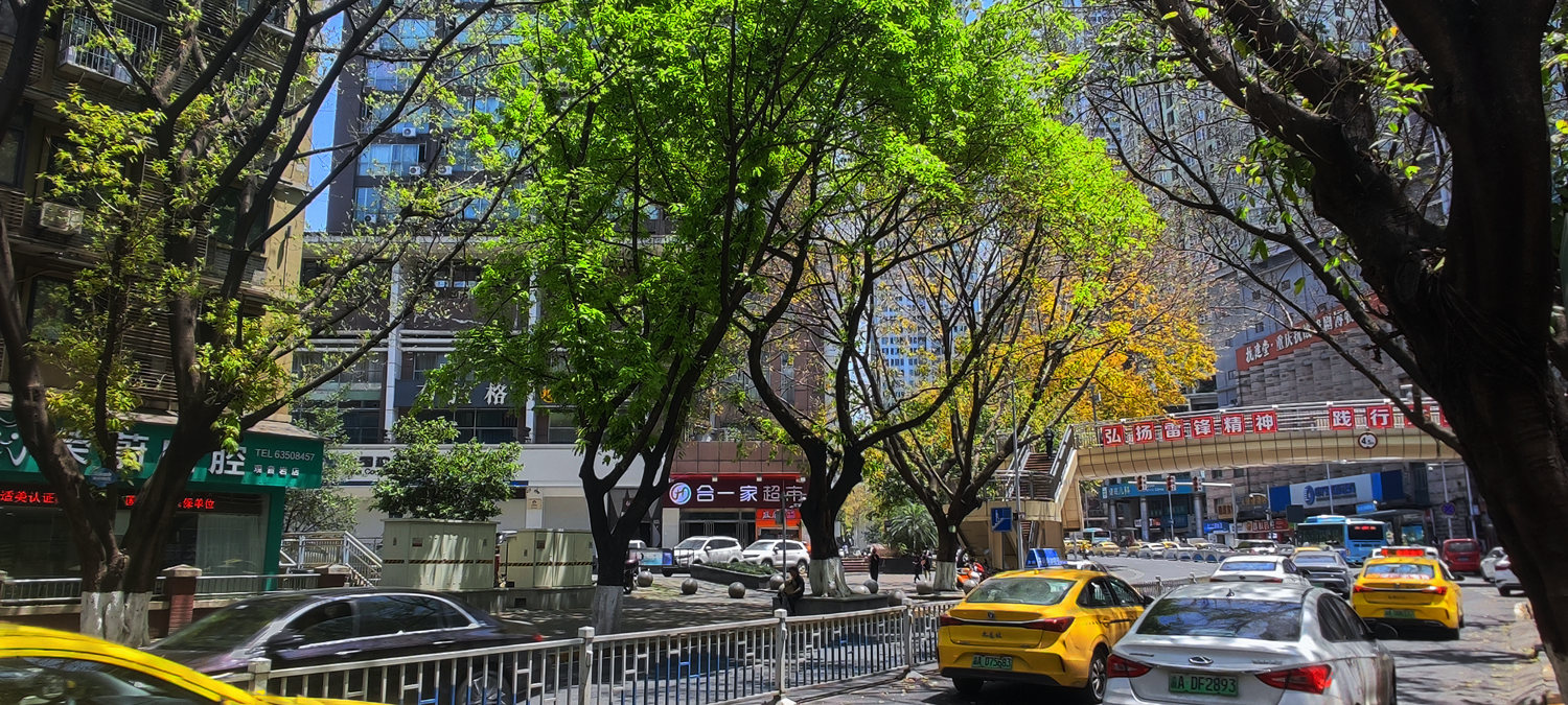 IMG_20230430_123905_副本.jpg
