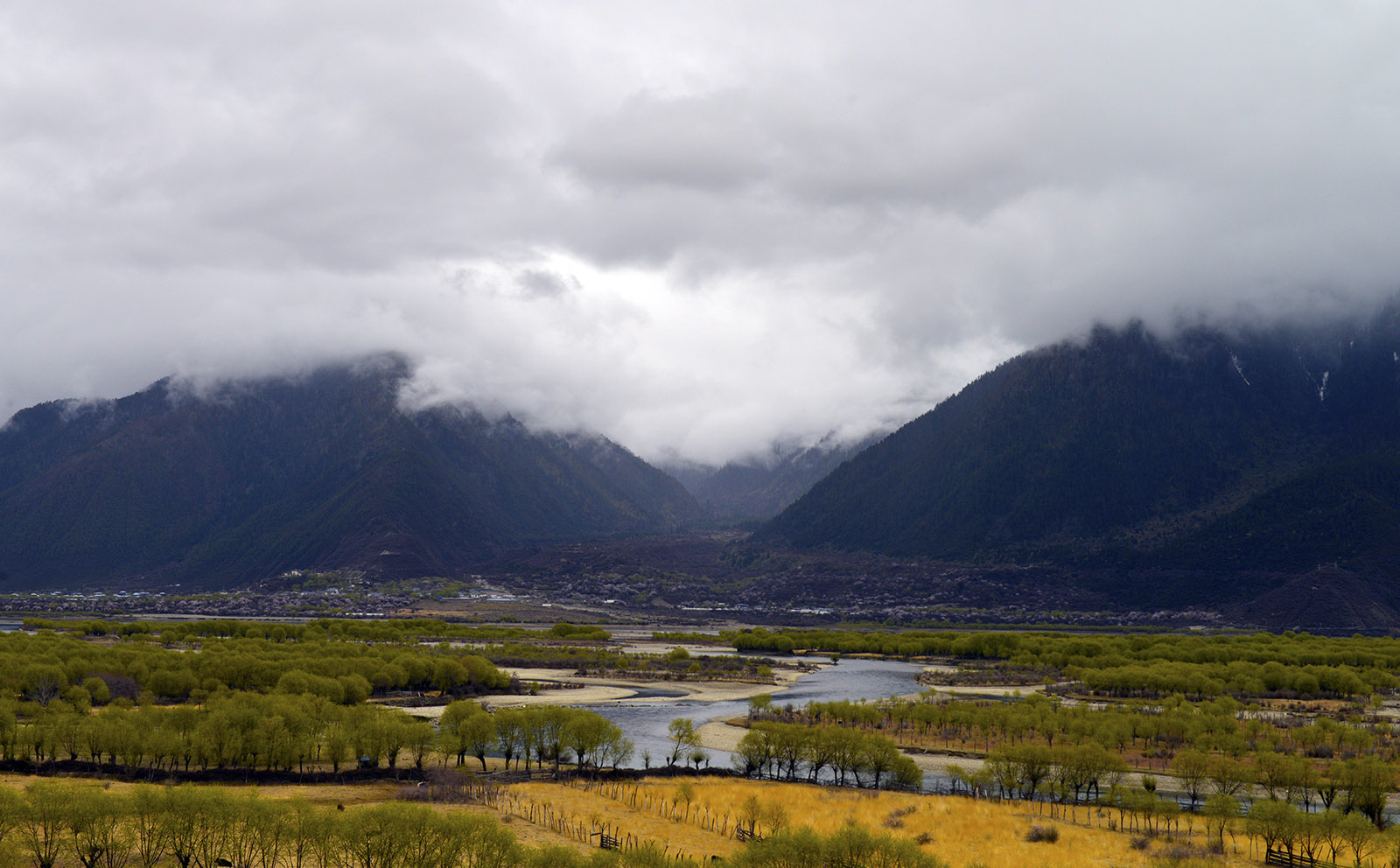 _DSC0746.JPG
