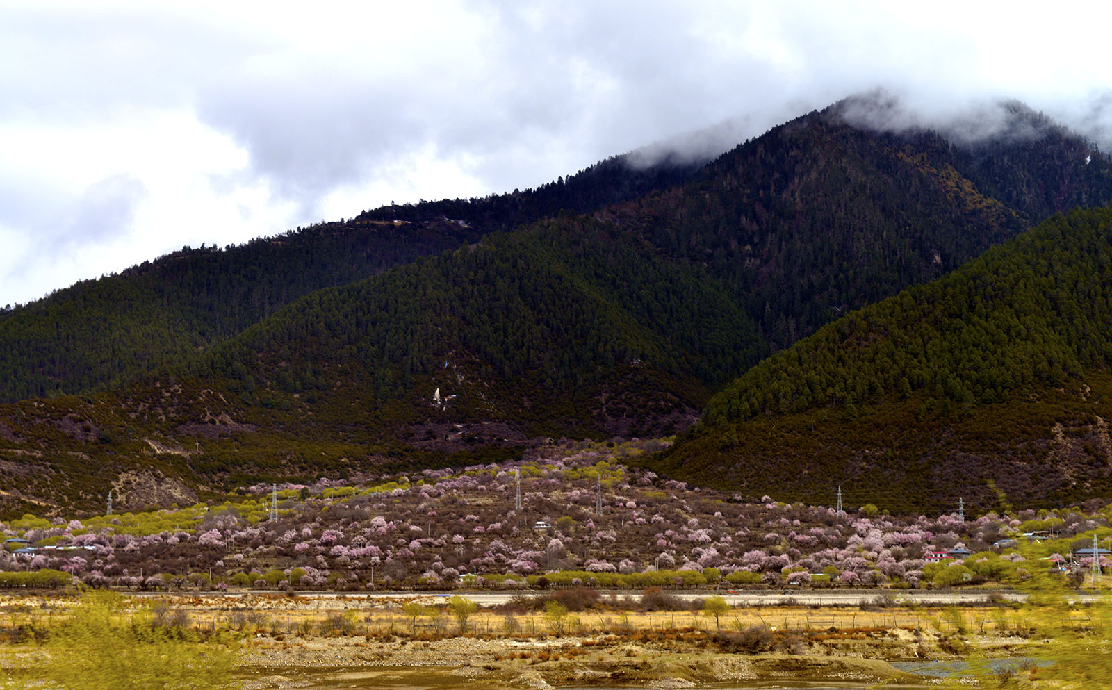 _DSC0850.JPG