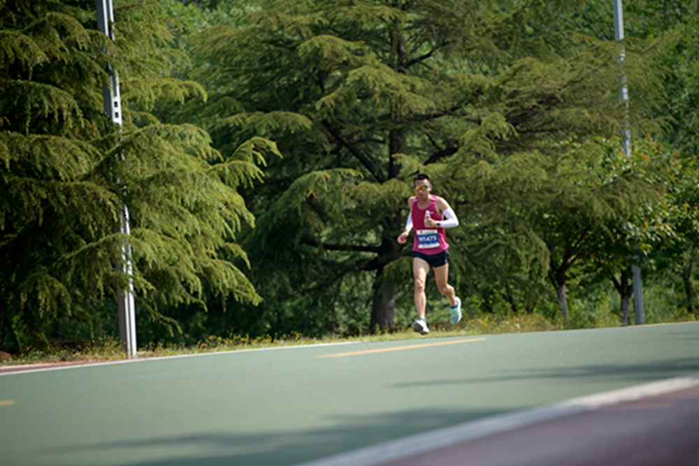 _DSC8146拷贝3.jpg