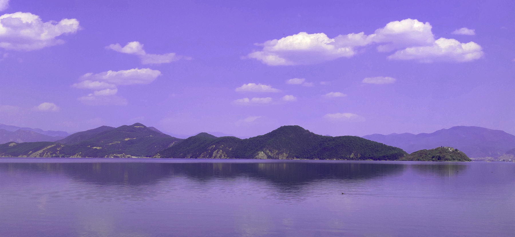 IMG_20230413_152342_副本.jpg