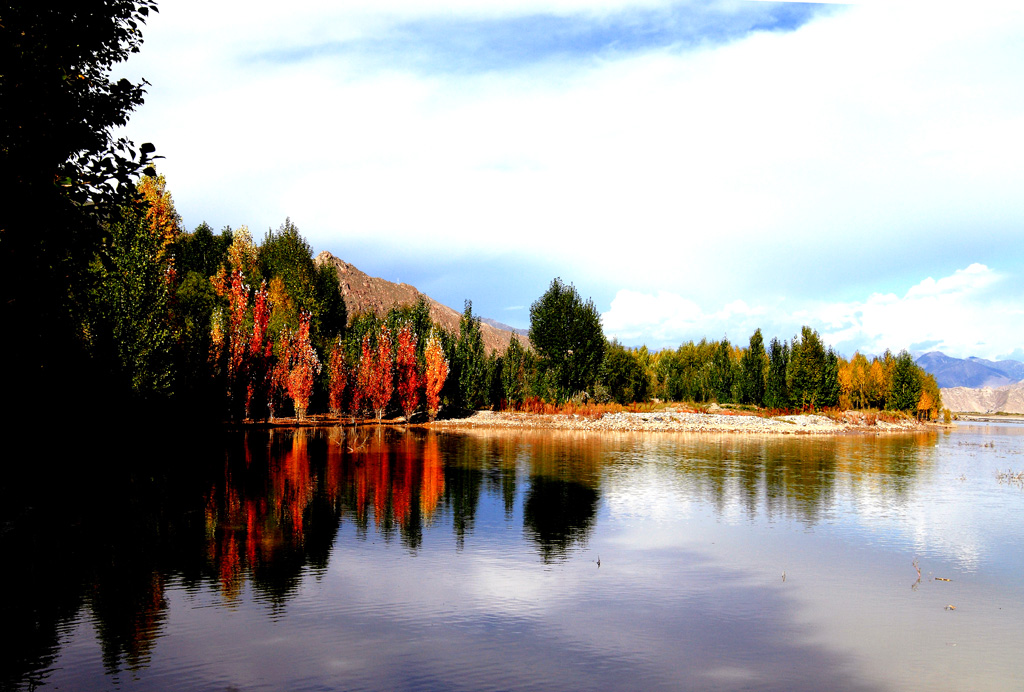 _MG_4707.JPG
