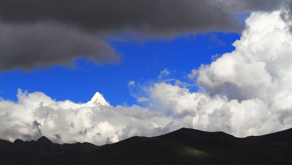 _MG_99042.JPG