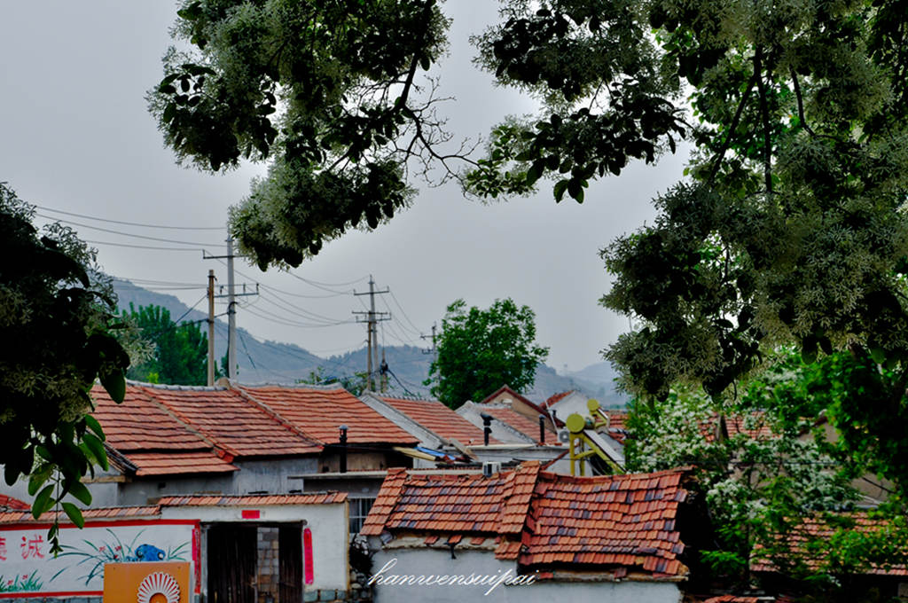 DSC_0009.JPG