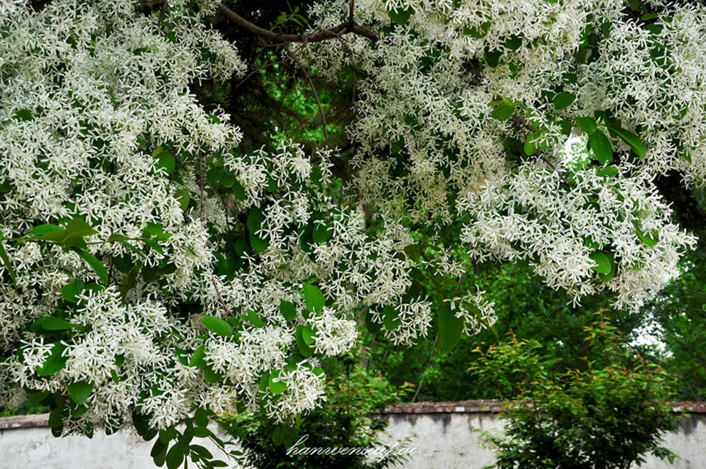 DSC_0015.JPG