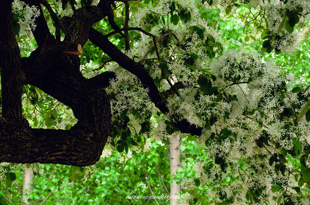 DSC_0022.JPG