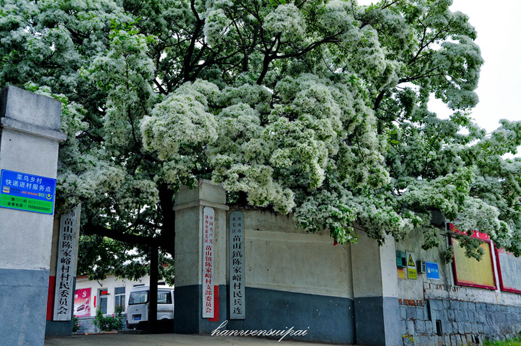 DSC_0043.JPG
