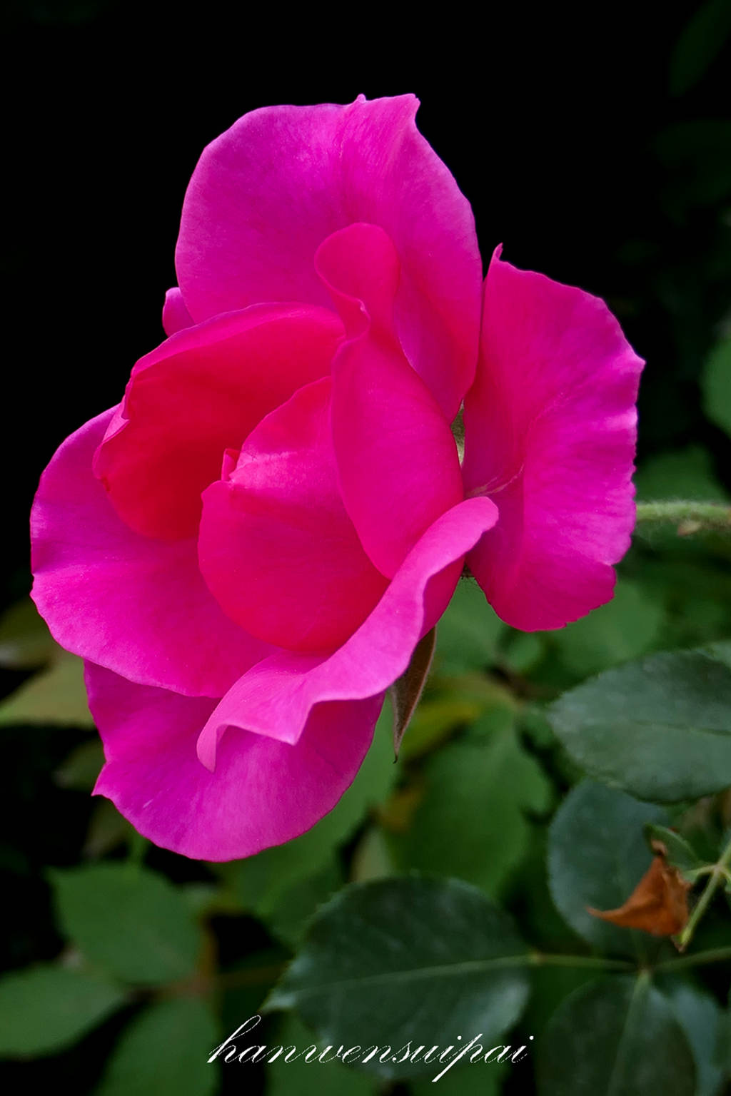 P1000618.JPG