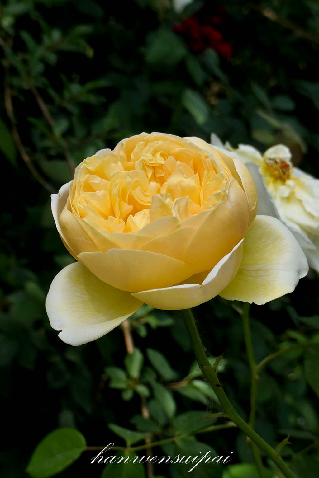 P1000617.JPG