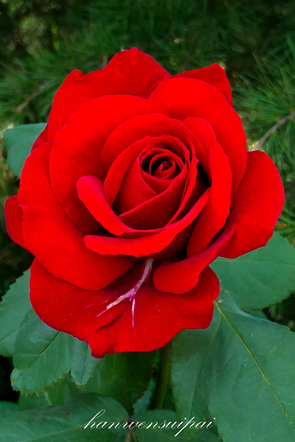 P1000620.JPG