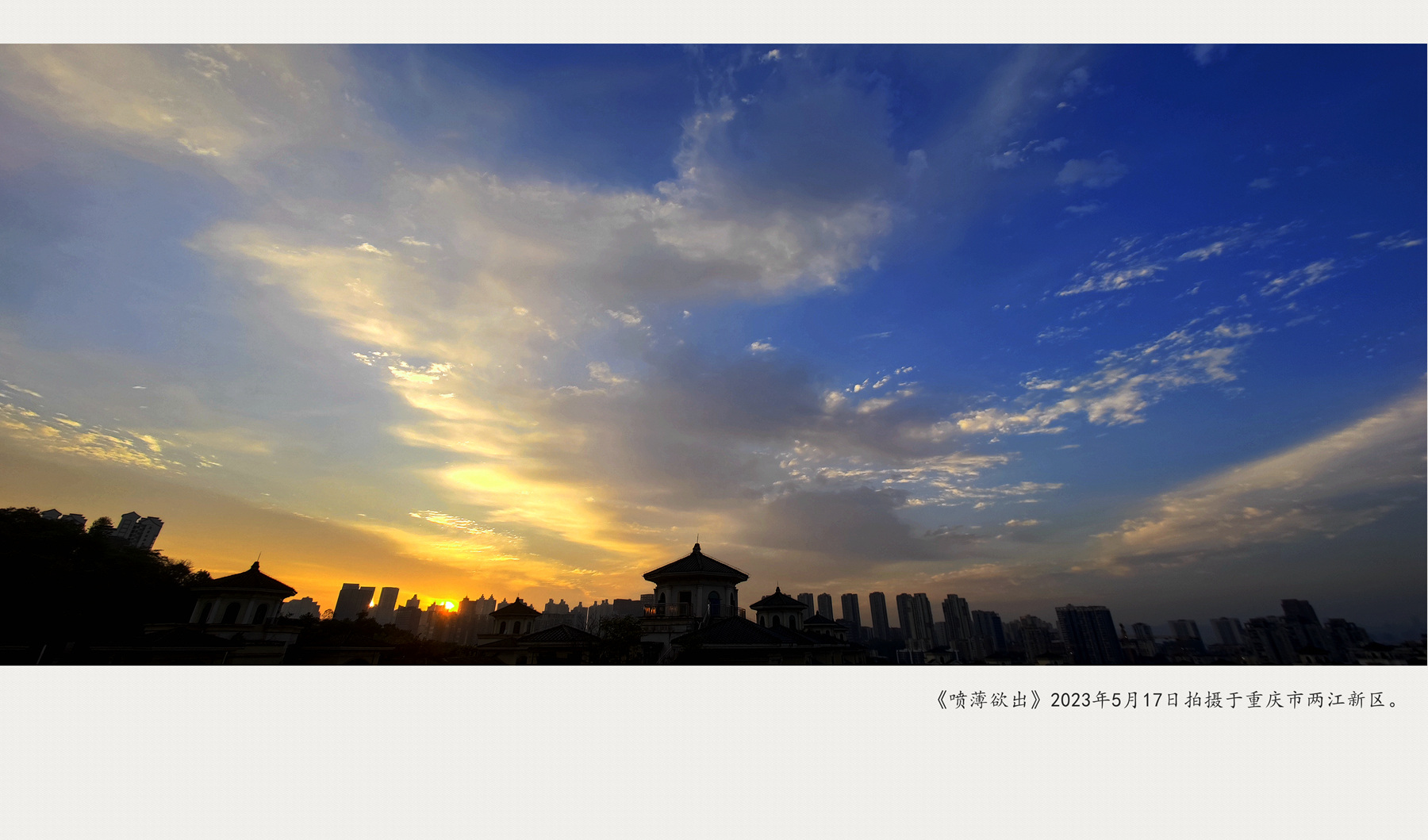 MVIMG_20230517_061943_副本_副本.jpg