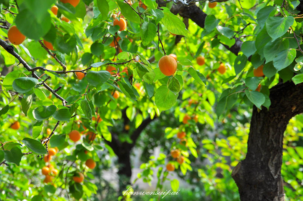 DSC_0014.JPG