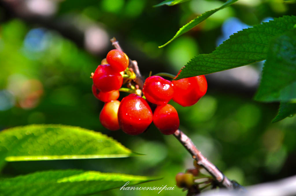 DSC_0011.JPG
