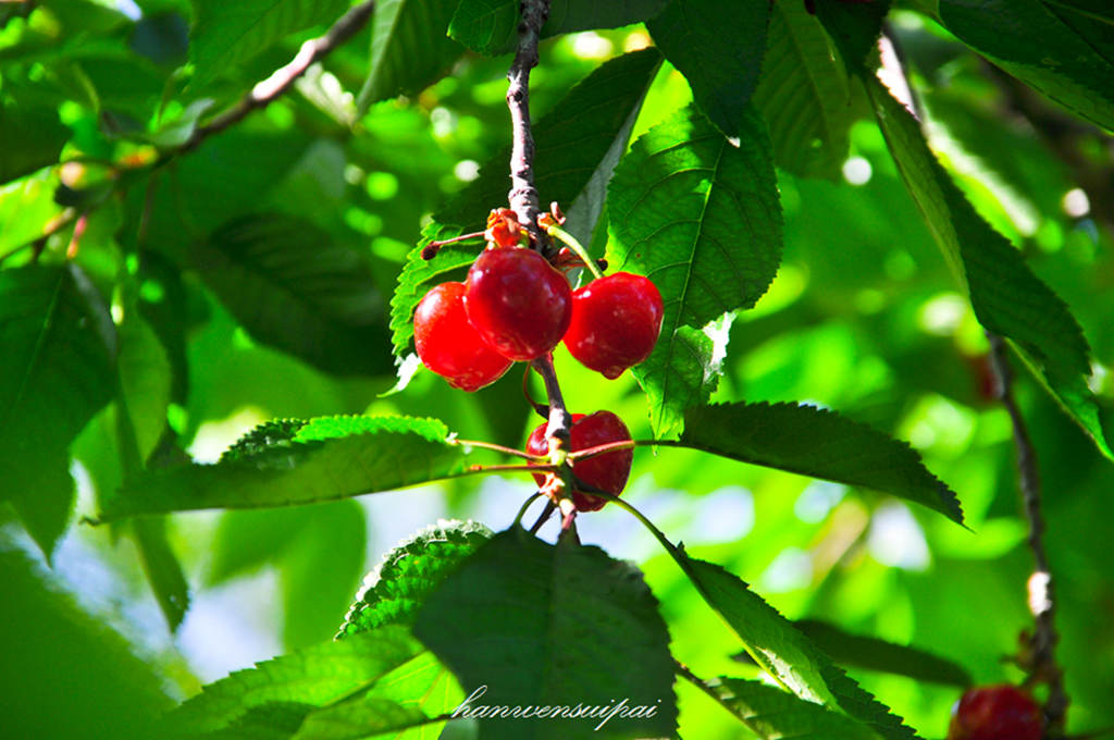 DSC_0015.JPG