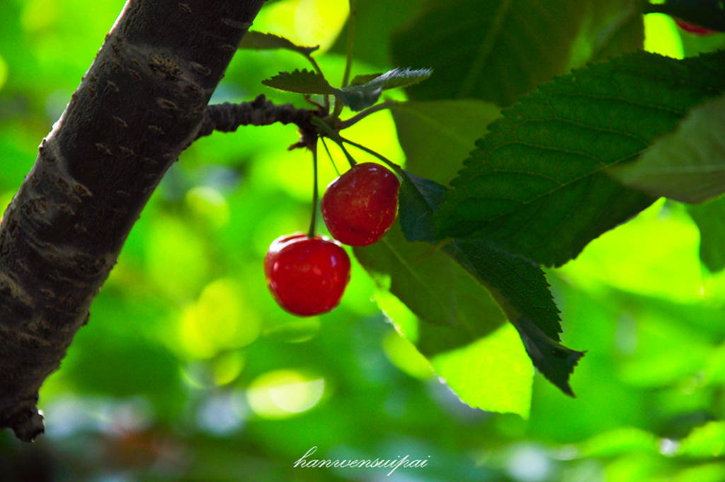 DSC_0022.JPG