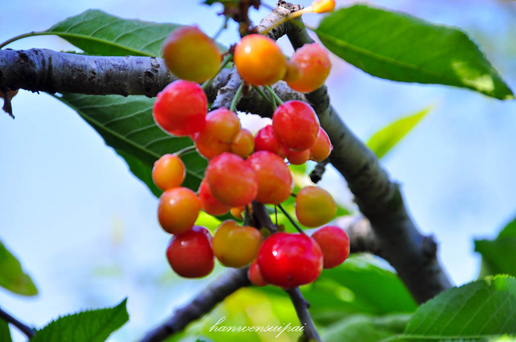 DSC_0020.JPG