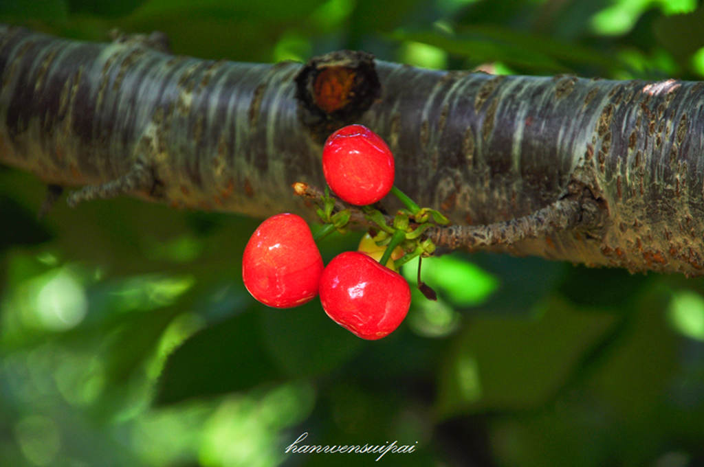 DSC_0018.JPG