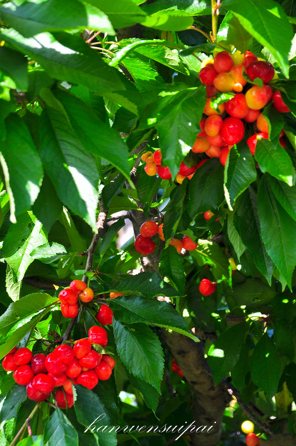 DSC_0027.JPG