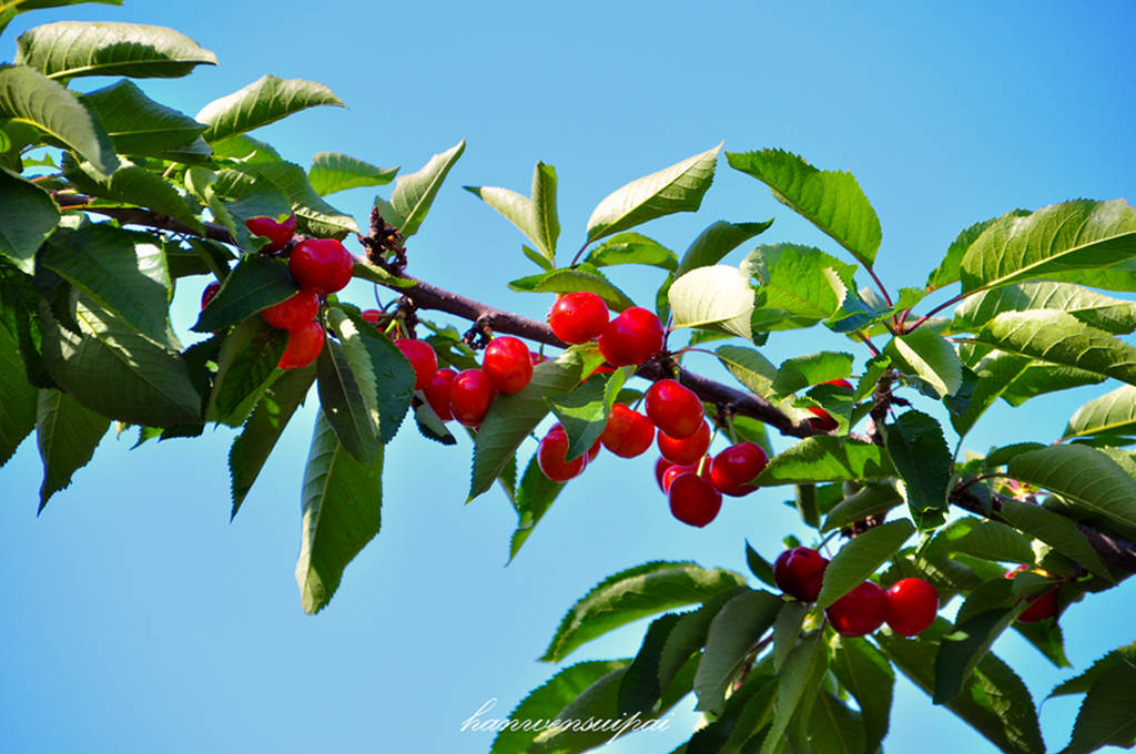 DSC_0023.JPG