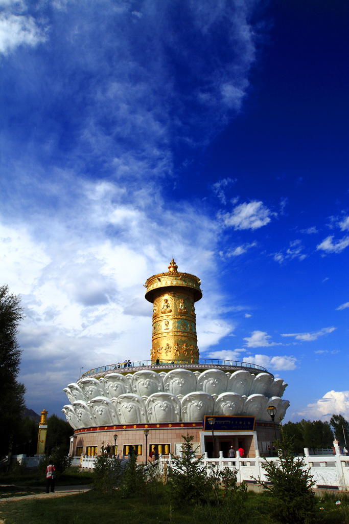 _MG_93242.JPG
