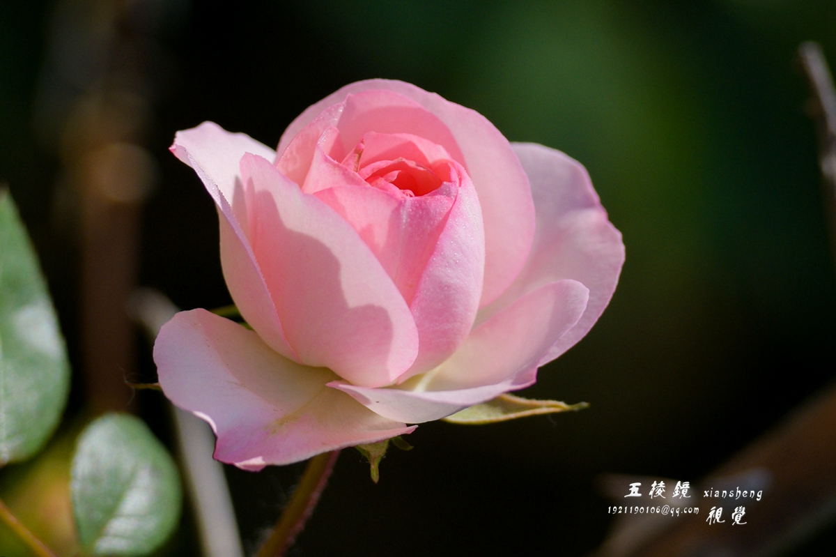 DSC_9347.JPG
