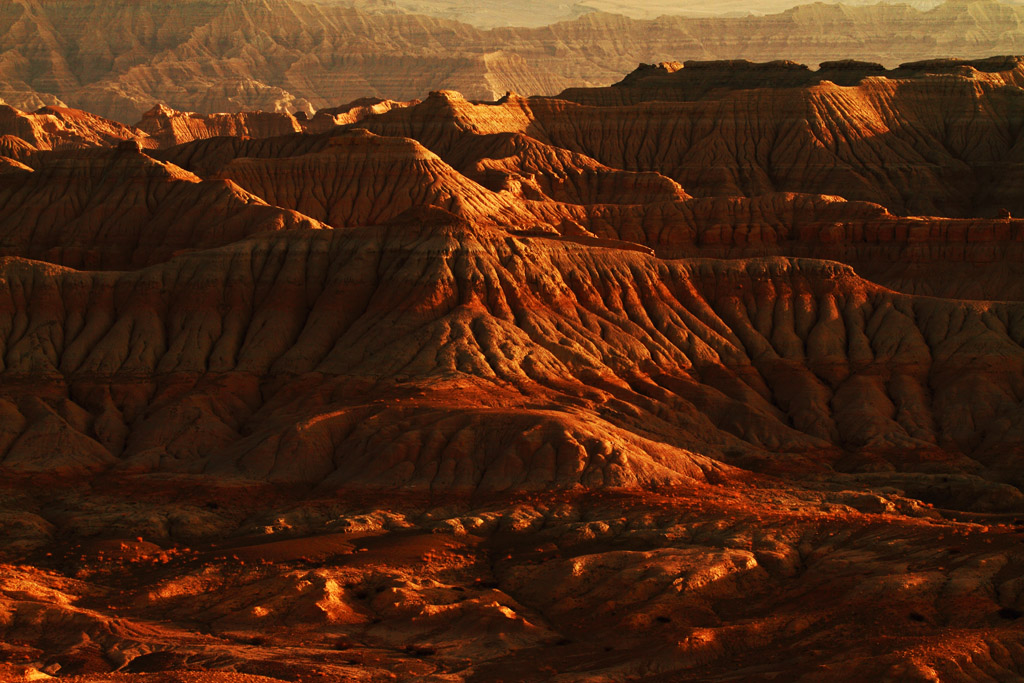 _MG_2223.JPG