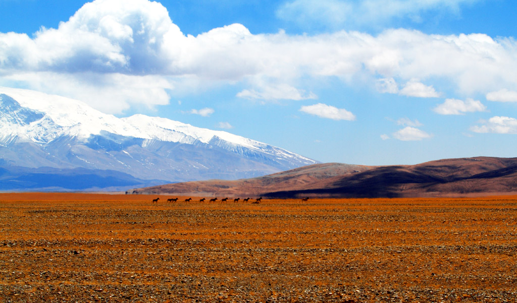 _MG_2578.JPG